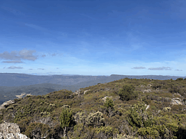 Quamby Bluff